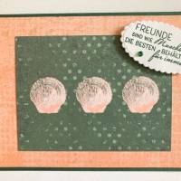 Freundschaft Muschel 3D geprägt Grußkarte Unikat Grün Rosa Handarbeit Stampin’Up Bild 2