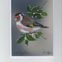 Grußkarte, Vogelmalerei, -  Stieglitz / Distelfink-  handgemalt Bild 1