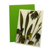 Grußkarte Postkarte handgemacht mit Pflanzenmotiv in Grünweiß und Briefumschlag Bild 1