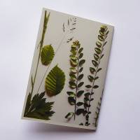 Grußkarte Postkarte handgemacht mit Pflanzenmotiv in Grünweiß und Briefumschlag Bild 2