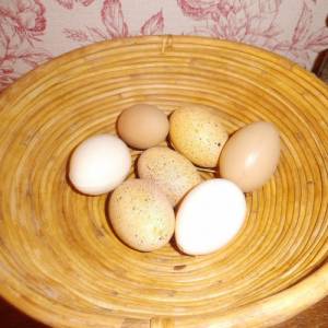 Eierkorb Korb Schale Flechtkorb Brotkorb Shabby handgemacht Vintage Egg basket Cottage panier de coupe Ostern Dekoration Bild 1