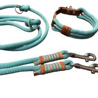 Hundeleine Halsband Set verstellbar, türkisblau, mit Leder, ab 20 cm Halsumfang Bild 2