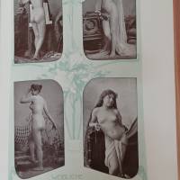 Das goldene Frauenbuch - Die Frau als Hausärztin - ein  ärztliches Nachschlagebuch für die Frau  1905 Bild 4