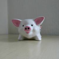 Geldgeschenk Sparschwein zum 50. Geburtstag für den Mann - Geschenkidee Bild 2