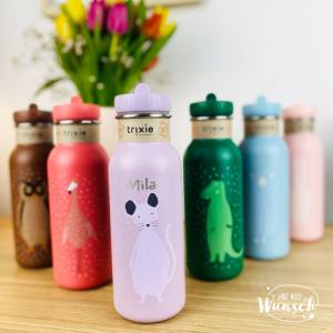 Kinder Trinkflasche personalisiert aus Edelstahl | Kita | Trixie | Kinderflasche | Wasserflasche | Schule | Trinkfasche Bild 1