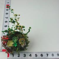 Bepflanzter Betonstein in Miniatur 1zu12 für das Puppenhaus Bild 9