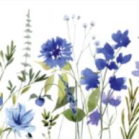 ECO Bordüre: Blaue Kornblumen - 20 cm Höhe Bild 6