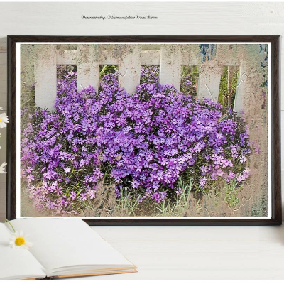 LILA PHLOX Blumen im Shabby Chic DIGITALES BILD ZUM DOWNLOAD & DRUCKEN Printables Wanddeko Poster Karte Geschenkidee