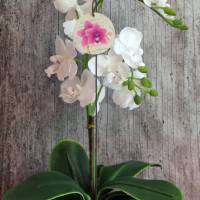 Blumenstecker **Poesie10** von ZWEIFARBIG 5cm Orchidee Blumenschmuck Hochzeitstag Blume Geburtstag Geschenk Muttertag Bild 2