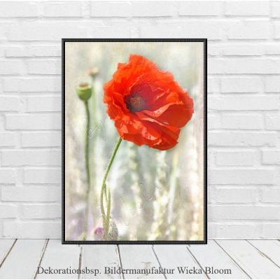 Rote Mohnblume im Landhausstil, DIGITALES BILD ZUM DOWNLOAD & DRUCKEN Printables Wanddeko Poster Karte Geschenkidee 