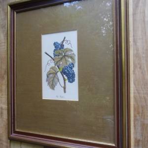 Vitis Vinivera Stich  Wandbild Rahmen Blattgold Weintraube Bild 1