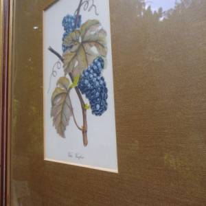 Vitis Vinivera Stich  Wandbild Rahmen Blattgold Weintraube Bild 8