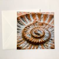 Briefkarte Ammonit quadratisch Bild 1