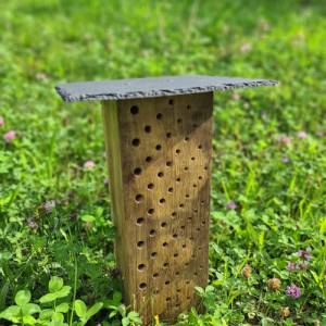 Hochwertiges Bienenhotel für Wildbienen und andere Bestäuberinsekten - Nisthilfe für Wildbienen - Geschenk Tierliebhaber Bild 9