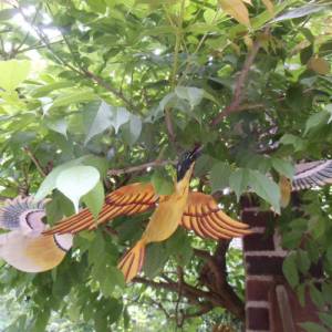 3 Vögel aus Blech handbemalt Vintage Brocante Dekoration Aufhänger Shabby alte Blechvögel Garten Bild 2