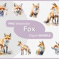 Fuchs in der Natur PNG Clipart Bundle - 10 Aquarell Bilder, Transparenter Hintergrund - Kommerziell Nutzbar Bild 1