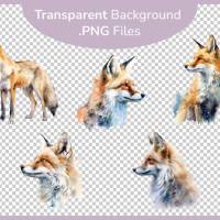Fuchs in der Natur PNG Clipart Bundle - 10 Aquarell Bilder, Transparenter Hintergrund - Kommerziell Nutzbar Bild 3