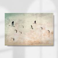 Gänseflug Zugvögel Bild auf Holz Leinwand Fineartprint Wanddeko Landhausstil Vintage Style Shabby Chic handmade kaufen Bild 1