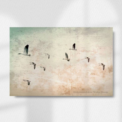 Gänseflug Zugvögel Bild auf Holz Leinwand Fineartprint Wanddeko Landhausstil Vintage Style Shabby Chic handmade kaufen