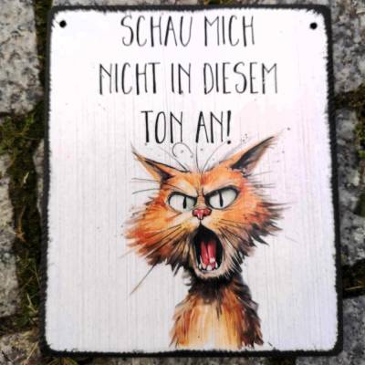 Schau mich nicht in diesem Ton an Katze HolzSchild Schild Geschenk Humor