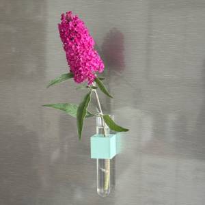 Kühlschrank Magnet “Reagenzglas Blumenvase” Bild 5