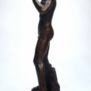 Bronze Akt - David - von Michelangelo - Erotica Bild 4