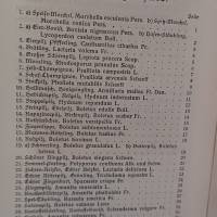 Die wichtigsten eßbaren u. giftigen Pilze Deutschlands 1909 Bild 2