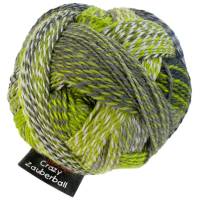 Schoppel Crazy Zauberball, Sockenwolle 4fach, 100 g, Farbe "Grüne Woche" Bild 1