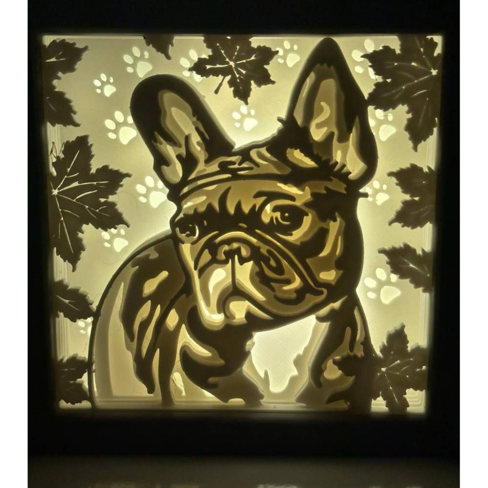 Leuchtrahmen, Schattenbox, Nachtlicht französische Bulldogge