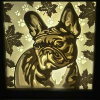 Leuchtrahmen, Schattenbox, Nachtlicht französische Bulldogge Bild 1