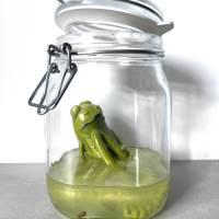 Der Spreewaldfrosch, Pickles, saure Gurken, Frosch Skulptur, Frosch im Glas, Froschkönig, Froschplastik, modellierter Fr Bild 1