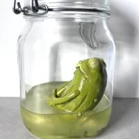 Der Spreewaldfrosch, Pickles, saure Gurken, Frosch Skulptur, Frosch im Glas, Froschkönig, Froschplastik, modellierter Fr Bild 2