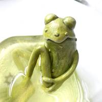 Der Spreewaldfrosch, Pickles, saure Gurken, Frosch Skulptur, Frosch im Glas, Froschkönig, Froschplastik, modellierter Fr Bild 7