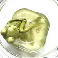 Der Spreewaldfrosch, Pickles, saure Gurken, Frosch Skulptur, Frosch im Glas, Froschkönig, Froschplastik, modellierter Fr Bild 8