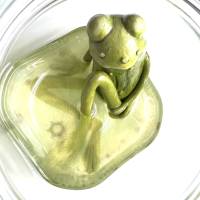 Der Spreewaldfrosch, Pickles, saure Gurken, Frosch Skulptur, Frosch im Glas, Froschkönig, Froschplastik, modellierter Fr Bild 9