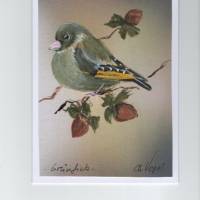 Grußkarte, Vogelmalerei-     Grünfink / Haselnüsse,  handgemalt