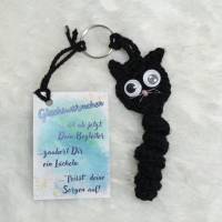 Glückswürmchen Kürbis oder schwarze Katze, Sorgenwürmchen Bild 6