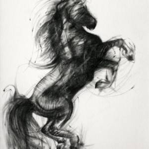 Pferd Zeichnung Druck | Schwarz-weiß Poster Pferdeportrait | Hauspferd Illustration | Tierportrait | Reiten Geschenk | W Bild 1