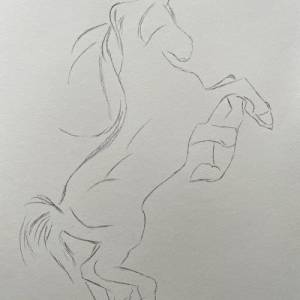 Pferd Zeichnung Druck | Schwarz-weiß Poster Pferdeportrait | Hauspferd Illustration | Tierportrait | Reiten Geschenk | W Bild 2