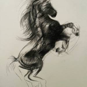 Pferd Zeichnung Druck | Schwarz-weiß Poster Pferdeportrait | Hauspferd Illustration | Tierportrait | Reiten Geschenk | W Bild 4