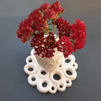 Vielseitiger Untersetzer Blumenretter Vasenaufsatz Bild 10
