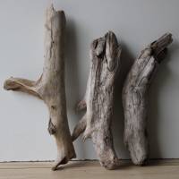 Treibholz Schwemmholz Driftwood  3 knorrige  Hölzer   Dekoration  Garten   Terrarium  Weihnachten  38 cm - 46 cm **E4** Bild 1