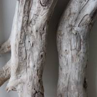 Treibholz Schwemmholz Driftwood  3 knorrige  Hölzer   Dekoration  Garten   Terrarium  Weihnachten  38 cm - 46 cm **E4** Bild 3
