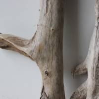Treibholz Schwemmholz Driftwood  3 knorrige  Hölzer   Dekoration  Garten   Terrarium  Weihnachten  38 cm - 46 cm **E4** Bild 5