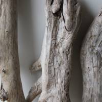 Treibholz Schwemmholz Driftwood  3 knorrige  Hölzer   Dekoration  Garten   Terrarium  Weihnachten  38 cm - 46 cm **E4** Bild 9