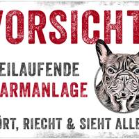 Hundeschild VORSICHT! FREILAUFENDE ALARMANLAGE (Französische Bulldogge), wetterbeständiges Warnschild Bild 1