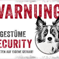 Hundeschild UNGESTÜME SECURITY (Border Collie), wetterbeständiges Warnschild Bild 1