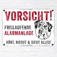 Hundeschild VORSICHT! FREILAUFENDE ALARMANLAGE (Dalmatiner), wetterbeständiges Warnschild Bild 2