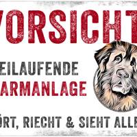 Hundeschild VORSICHT! FREILAUFENDE ALARMANLAGE (Leonberger), wetterbeständiges Warnschild Bild 1