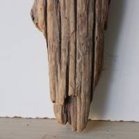 Treibholz Schwemmholz Driftwood  1 Skulptur   Dekoration  Garten  Terrarium Weihnachten 60 cm Bild 4